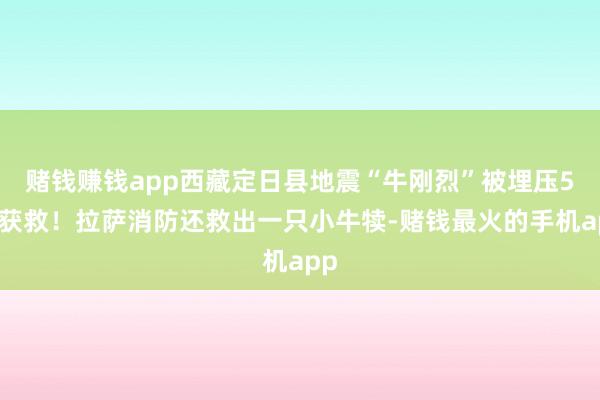 赌钱赚钱app西藏定日县地震“牛刚烈”被埋压5天获救！拉萨消防还救出一只小牛犊-赌钱最火的手机app
