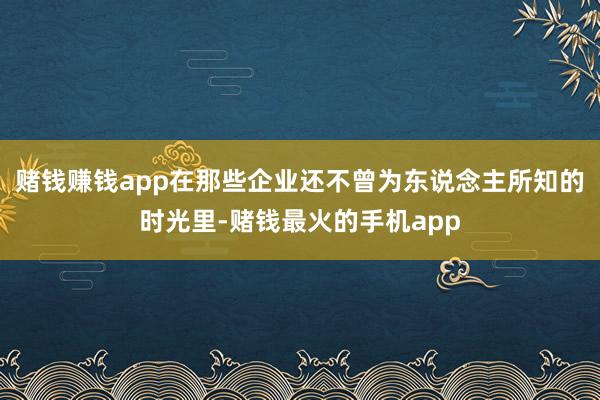赌钱赚钱app在那些企业还不曾为东说念主所知的时光里-赌钱最火的手机app