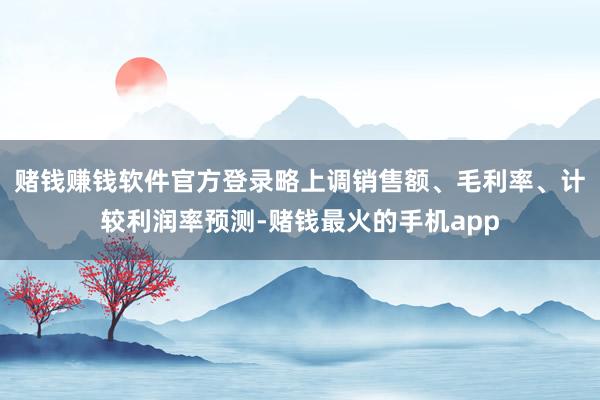 赌钱赚钱软件官方登录略上调销售额、毛利率、计较利润率预测-赌钱最火的手机app