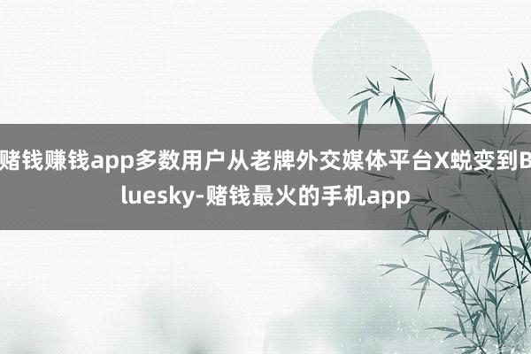 赌钱赚钱app多数用户从老牌外交媒体平台X蜕变到Bluesky-赌钱最火的手机app