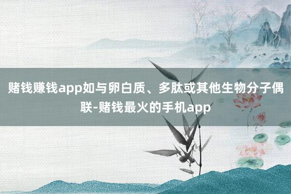 赌钱赚钱app如与卵白质、多肽或其他生物分子偶联-赌钱最火的手机app