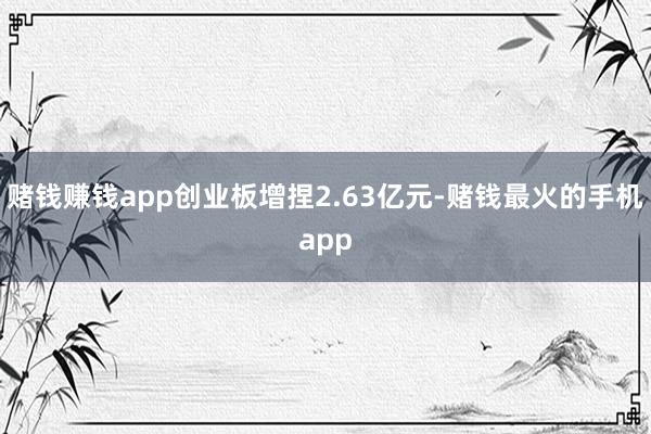 赌钱赚钱app创业板增捏2.63亿元-赌钱最火的手机app