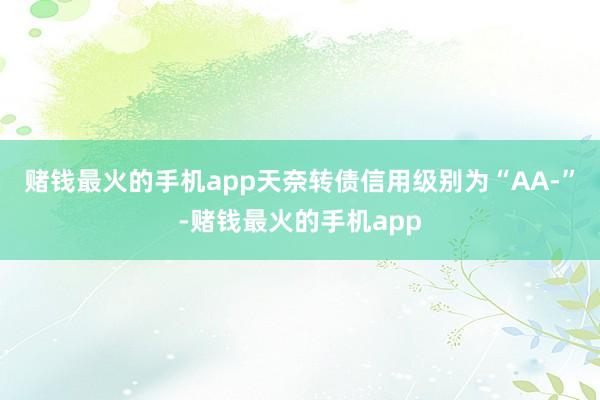 赌钱最火的手机app天奈转债信用级别为“AA-”-赌钱最火的手机app