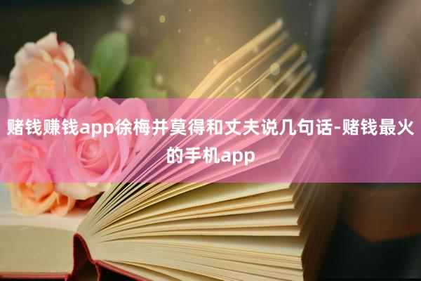 赌钱赚钱app徐梅并莫得和丈夫说几句话-赌钱最火的手机app
